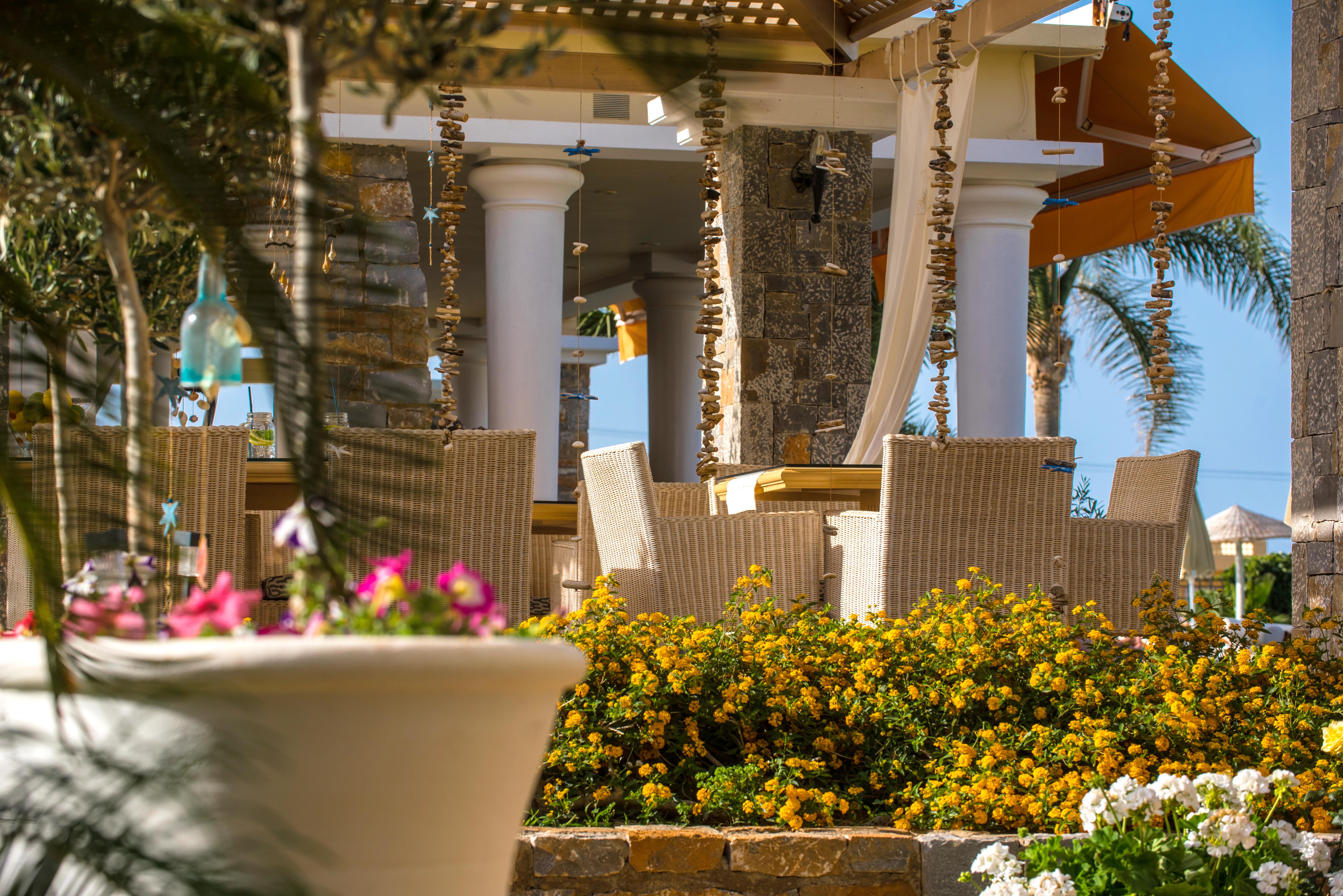 Socrates Hotel Malia Beach Zewnętrze zdjęcie
